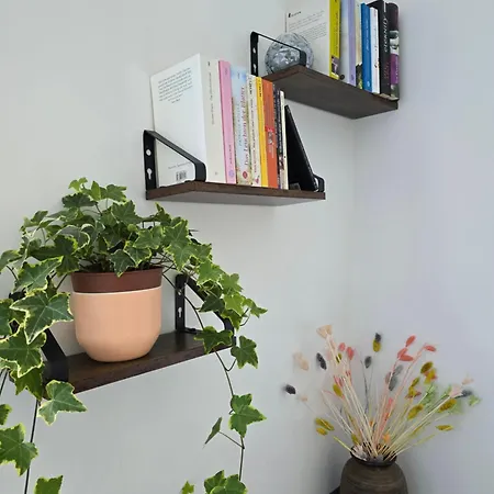 Ein Stiller Winkel An Der Uni 吕贝克